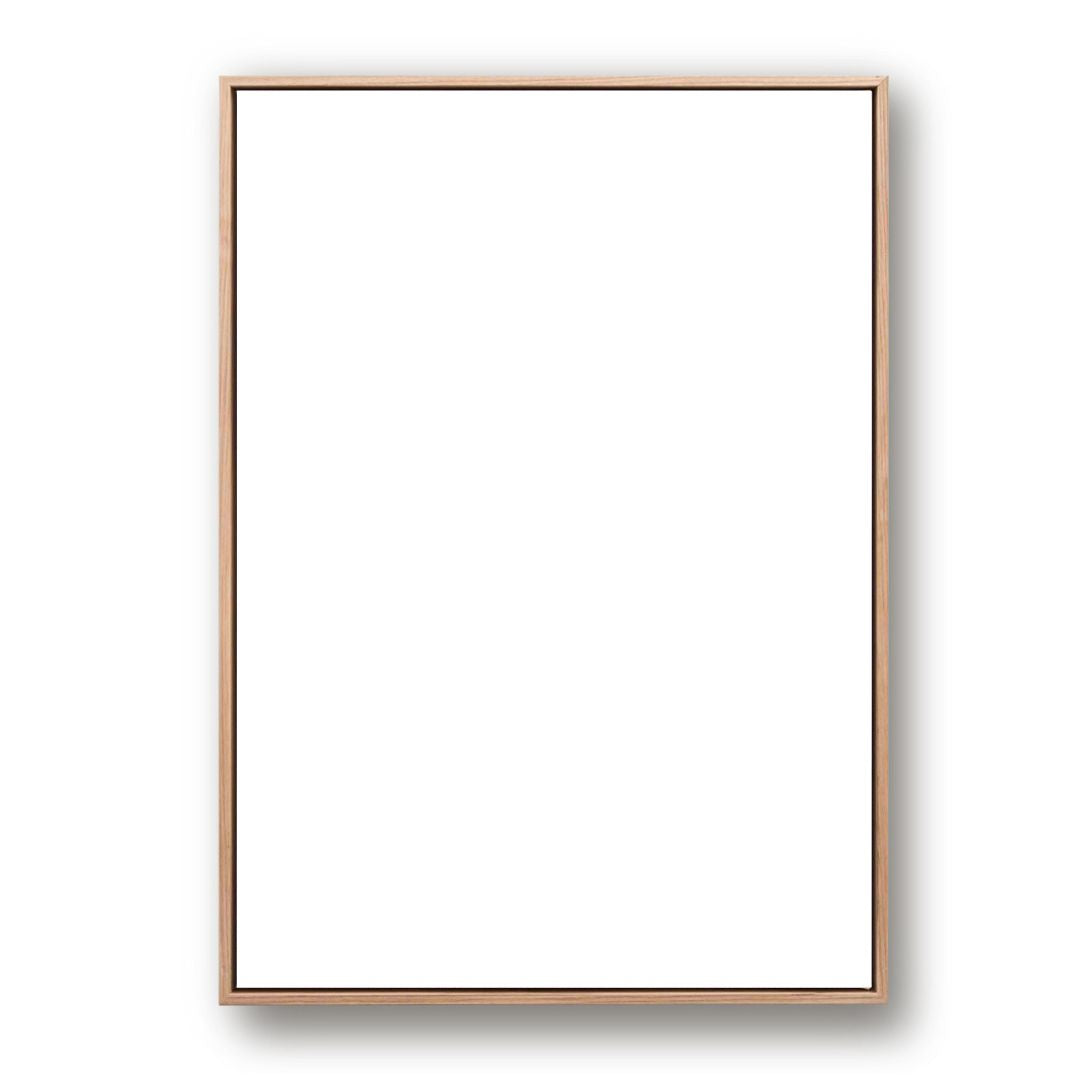 Add A Frame Professionally Stretched Canvas Float Frame TOO